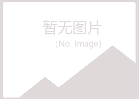 铜官山区惜雪制造有限公司